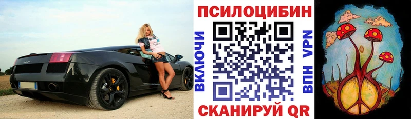 Галлюциногенные грибы Psilocybe  где продают наркотики  Верхоянск 